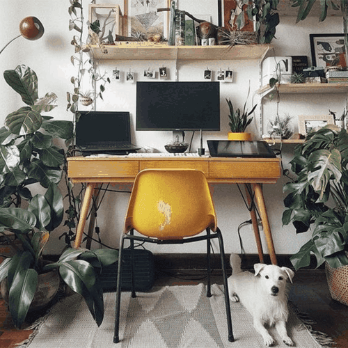 2-textes Décorations d'interieures