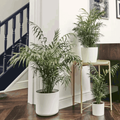 Décorations d'interieuresn